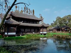-桂湖森林公园
