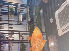 -向川南·水煮鱼·川菜(和平里店)
