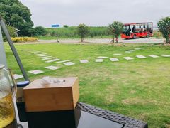 -七的湖·晚芳亭·阳澄湖农家菜·大闸蟹(莲花岛店)