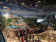 -自贡恐龙博物馆