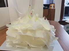 -BLACKSWAN黑天鹅(环球店)