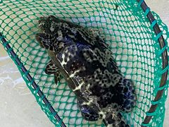 -鑫鸿达·海鲜闽菜热炒小馆(中山路店)
