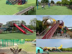 -苏州太湖西山岛开心农场