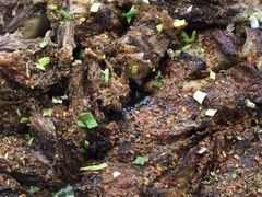 -和月楼牛羊肉泡馍