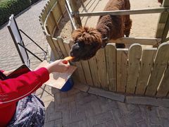 -辛玛王国游乐园