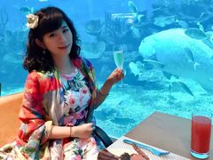 -海棠湾洲际-涛·海底餐厅·美人鱼·自助餐·海底隧道