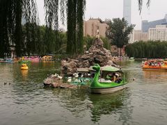 -团结湖公园