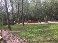 -黄海国家森林公园