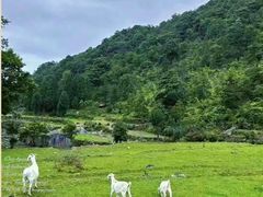 -雁荡山风景名胜区
