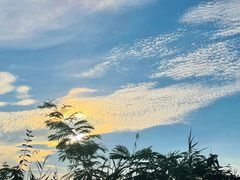 -泗洪洪泽湖湿地景区