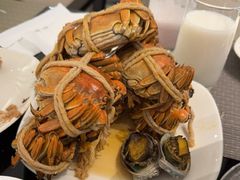 -太湖饭店玉兰厅(自助餐厅)