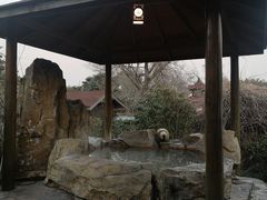 -金孔雀温泉旅游度假村