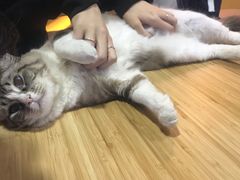 -白兔子密室(长寿路店)