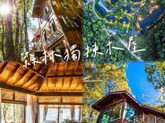 -普洱太阳河森林公园