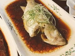 -云中小雅