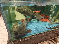 -聚福宝合苑食府(南头镇店)