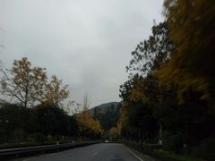 -铁山坪森林公园