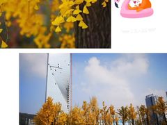 -百林公园-两江幸福广场