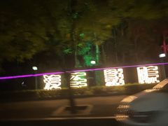 -枫花园汽车电影院(朝阳公园店)