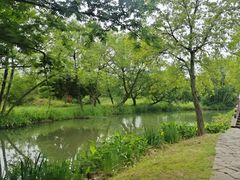 -西溪国家湿地公园