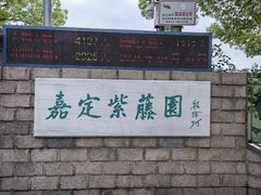 -嘉定紫藤园