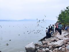 -深圳湾公园(南山区)