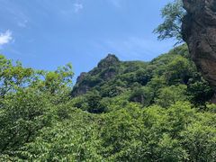 -牛背梁国家森林公园