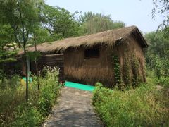 -溱湖国家湿地公园