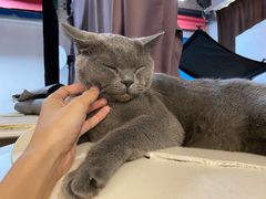 -壹人壹像工作室(购物公园店)