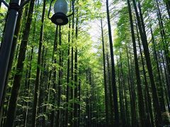-山王坪喀斯特国家生态公园