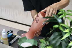 -蚂蚁造型俱乐部