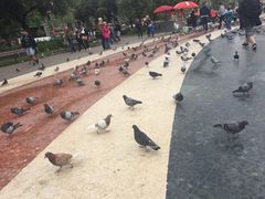 -加泰罗尼亚广场
