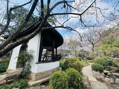 -秋霞圃