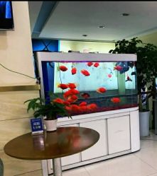 -成都军建医院·疤痕诊疗中心