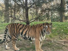 -北京野生动物园