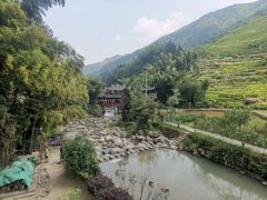 -紫鹊界梯田景区