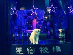 -星宿秘码(鼓浪屿老店)