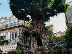 -荔湾湖公园