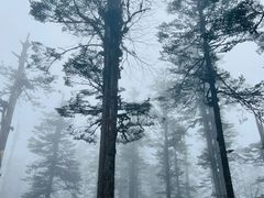 -瓦屋山景区