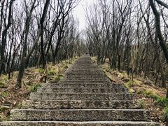 -紫金山山顶公园