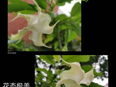 -陈李济中药博物馆