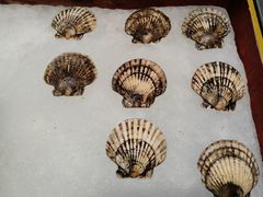 -蚝老板海鲜烧烤大排档(码头店)
