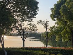 -西山漾湿地公园