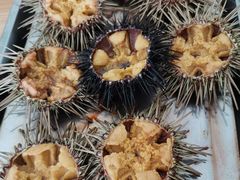 -海胆小馆(东北水饺·春柳店)