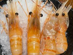 牡丹虾-大渔铁板烧(中山路店)