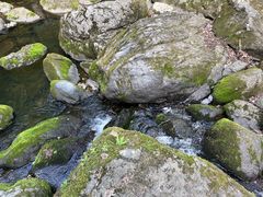-香炉山国家森林公园