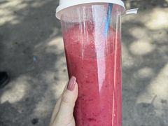 -西双版纳原始森林公园