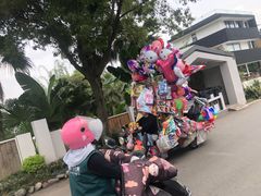 -三圣花乡旅游区