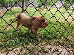 -西安秦岭野生动物园