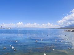 -青海湖国家重点风景名胜区